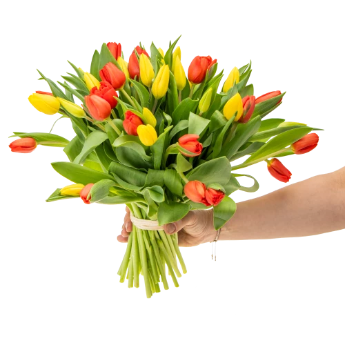 Kytice tulipánů